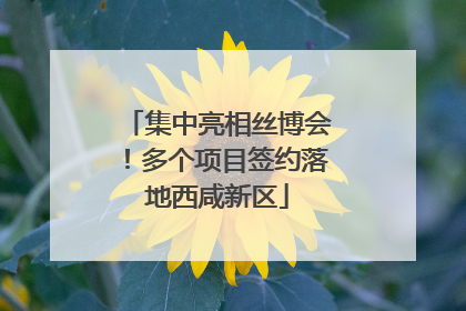 集中亮相丝博会！多个项目签约落地西咸新区